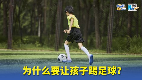 适量即可