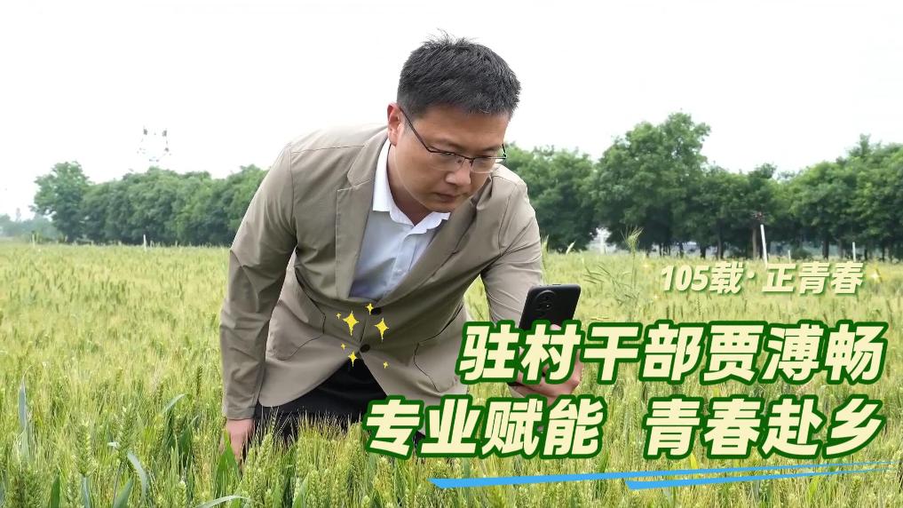 制作单位