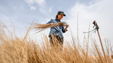 安博世界杯携手中超联赛开启官方合作股