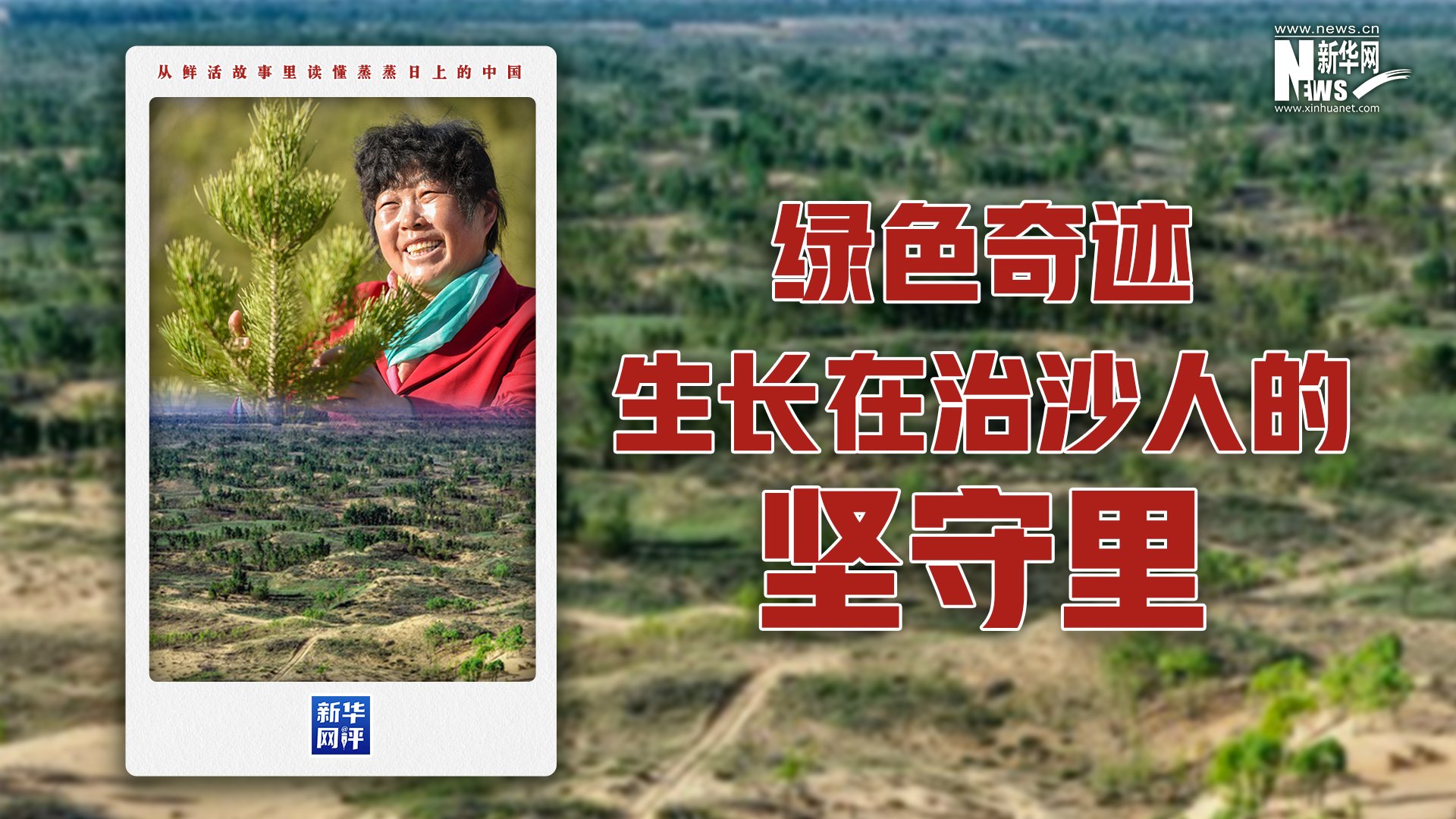 对照阅读