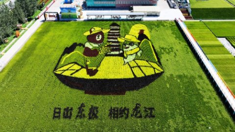 千方百计搜救失联人员 加强各类风险隐