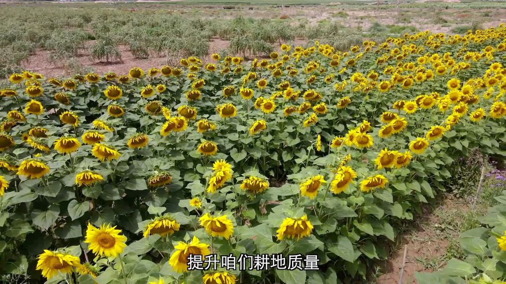 文旅新“县”象一线观察
