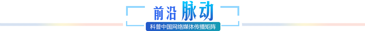 今年的5月12日是第四个“国际植物健